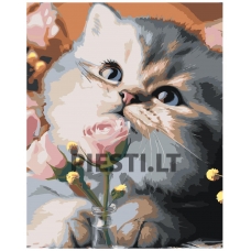 Painting by numbers 8@E.-U0152