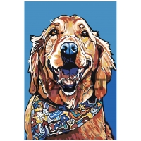 Pieškite pagal skaičius A141 test