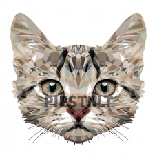 Pieškite pagal skaičius A368