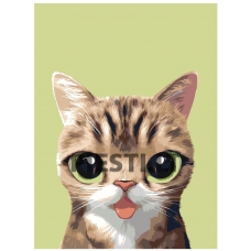 Pieškite pagal skaičius A571