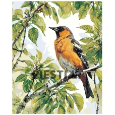 Painting by numbers A5II-AN31