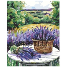 Painting by numbers A5II-AN40