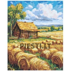 Painting by numbers A5II-AN51