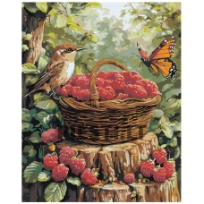 Painting by numbers A5II-AN70