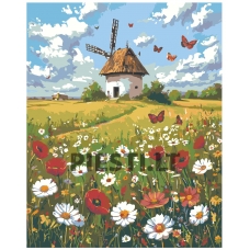 Painting by numbers A5II-AN74