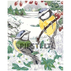 Pieškite pagal skaičius A5II-GX27890