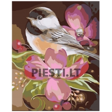 Pieškite pagal skaičius A5II-GX4583