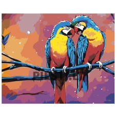 Pieškite pagal skaičius A5II-IF325