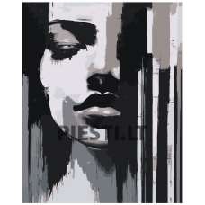 Painting by numbers A5II-IF337