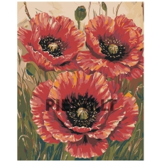 Painting by numbers A5II-IF467