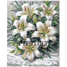 Painting by numbers A5II-IF482