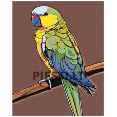 Painting by numbers A5II-JP378