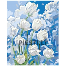 Painting by numbers A5II-NK534