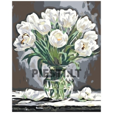 Painting by numbers A5II-NK642