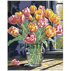 Painting by numbers A5II-NK644