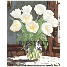 Painting by numbers A5II-NK646