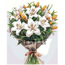 Pieškite pagal skaičius A5II-SN60