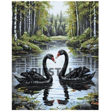 Painting by numbers A5II-SN66