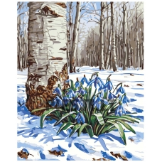 Painting by numbers A5II-SN71