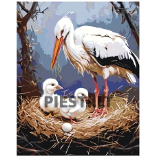 Painting by numbers A5II-SN72