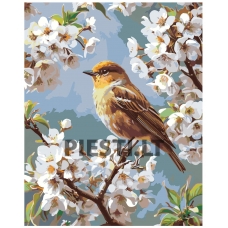 Painting by numbers A5II-SN91