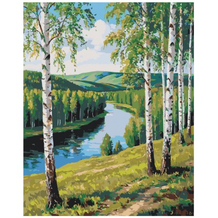 Painting by numbers A5II-TN114