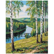 Painting by numbers A5II-TN114