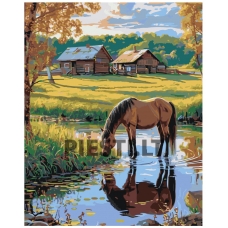 Painting by numbers A5II-TN118