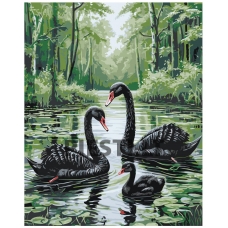 Painting by numbers A5II-TN54