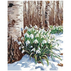 Painting by numbers A5II-TN67