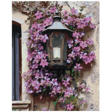 Painting by numbers A5II-TN72