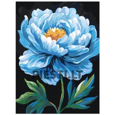 Pieškite pagal skaičius AAAA-NK024