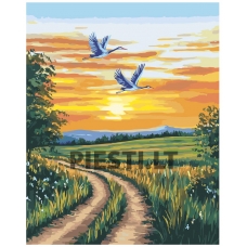 Painting by numbers AAAA-NK1062