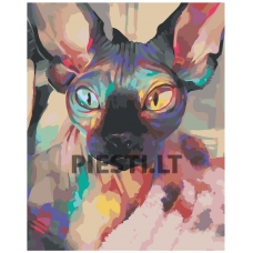 Pieškite pagal skaičius AAAA-RS226