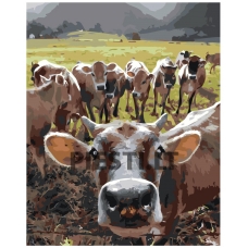 Painting by numbers EVEE-art-0322