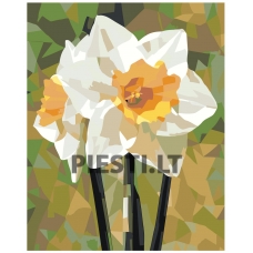 Painting by numbers EVEE-art-0540