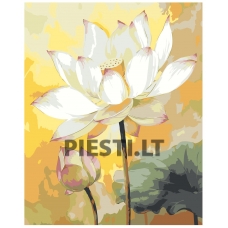 Painting by numbers EVEE-art-0576