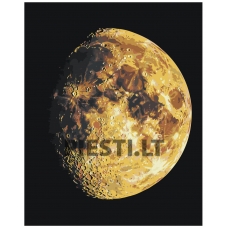 Painting by numbers EVEE-art-0596