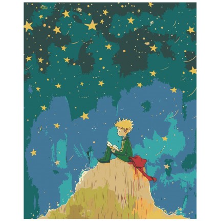 Painting by numbers EVEE-littleprince-0004