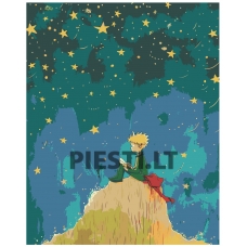 Pieškite pagal skaičius EVEE-littleprince-0004