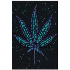 Pieškite pagal skaičius FU22