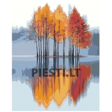 Painting by numbers IIIR-KIR401