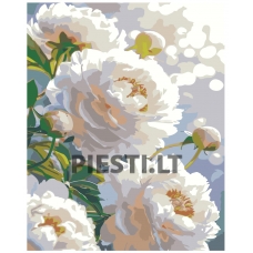 Pieškite pagal skaičius IIIR-KIR566