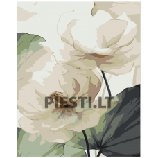 Painting by numbers IIIR-KSN079