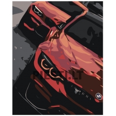 Painting by numbers IIIR-VLD1177