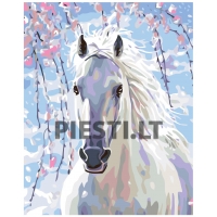 Pieškite pagal skaičius KTMK-13941