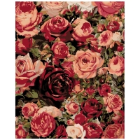 Pieškite pagal skaičius KTMK-87286