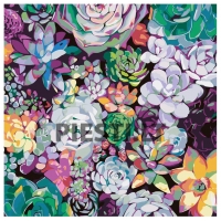 Pieškite pagal skaičius RA241