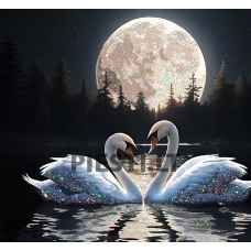 Pieškite pagal skaičius VL.V-BSH0005