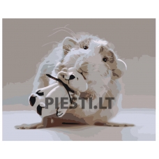 Pieškite pagal skaičius Z-AB442